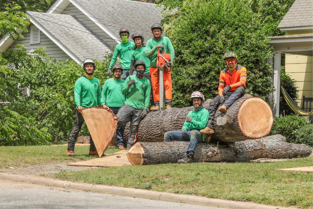 Medrano's tree experts on location